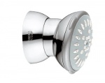 Подробнее о Боковой душ Grohe Rainshower Dual 27066 000 хром