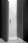 Подробнее о Душевая дверь Roltechnik Tower Line TDN1/1000 silver 96-101x201,2 см профиль матовый алюминий Silver, стекло прозрачное Transparent (726-1000000-01-02)